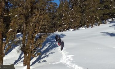 Kedarkantha Trek