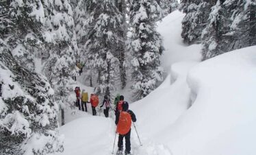 Rupin Pass Trek